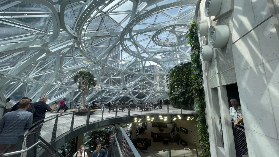 The Amazon Spheres